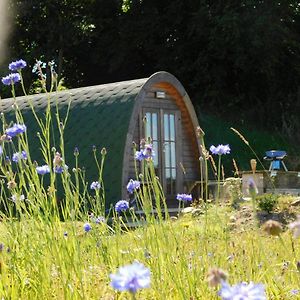 فيلا Cosy Pod-Cabin Near Beautiful Landscape In أوماغ Exterior photo