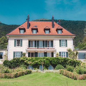 Chateau D'Echenevex - Luxury Escape Near Geneva Exterior photo