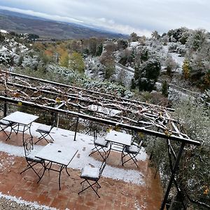 فندق Podere Belsogno-Camera Rosmarino مونتالشينو Exterior photo