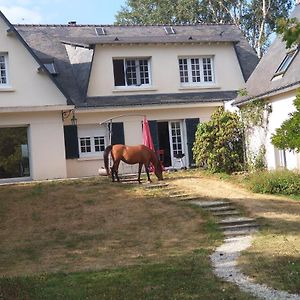 مبيت وإفطار Verrieres-en-Anjou La Fantasia Exterior photo