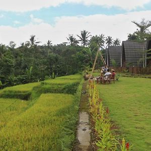 فندق Omah Bapak Ijen Eco House Licin Exterior photo