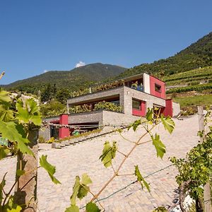 Castione Andevenno Nebbiolo Wine B&B Exterior photo