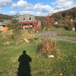 شقة Rechhof Urlaub Bei Tieren Schalkenbach Exterior photo