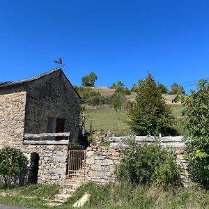 شقة Le Col De Perjuret Fraissinet-de-Fourques Exterior photo