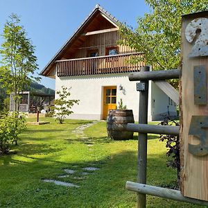 فيلا Almhaus Teichalm/Sommeralm Breitenau am Hochlantsch Exterior photo