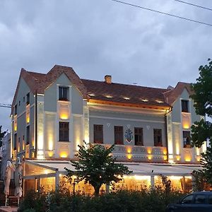 فندق Conacul Sfantul Sava Brancovici Ineu  Exterior photo