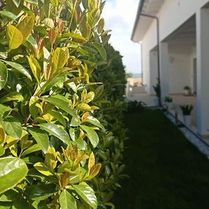 مبيت وإفطار Matera Nel Verde Exterior photo