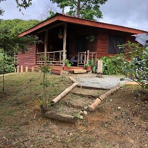 Platanillo Log Cabin In Tinamaste Valley, Habacuc Woods, Baru Exterior photo