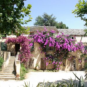 مبيت وإفطار Sorbo-Ocagnano Domaine De Valle Exterior photo