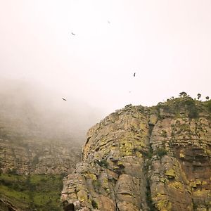 هويدزبروت Cape Vulture Conservancy Exterior photo