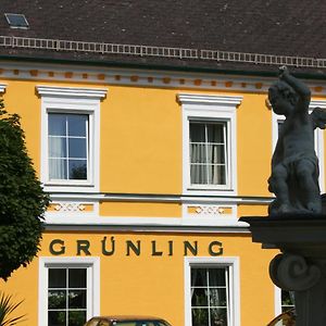 فندق Gasthof Gruenling Wallsee Exterior photo