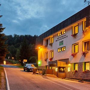 فندق Pension & Restaurace Zeleny Mlyn Žacléř Exterior photo