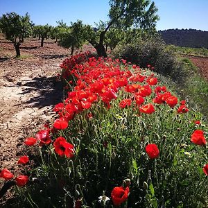 فيلا Cortijo Los Soledad El Sauco Exterior photo