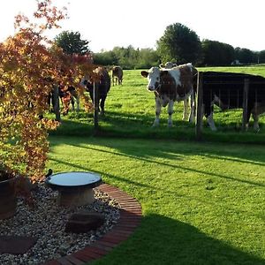 Courtyard Cottage لوكربي Exterior photo