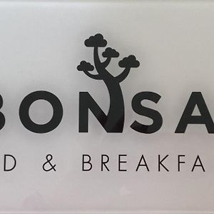 بيزارو Bonsai - Bed & Breakfast Exterior photo