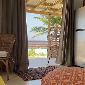 Casita Del Mar Oceanfront Romantic Retreat In Islote أريسيبو Exterior photo