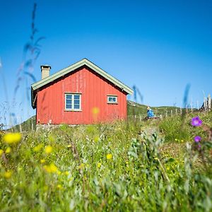 فيلا Olestolen Skammestein Exterior photo