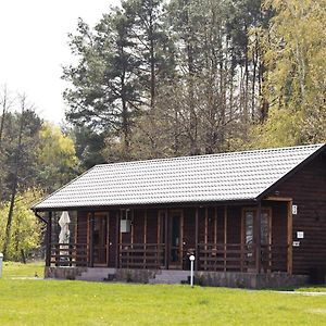 فندق Турбаза Nester-House سفيتياز Exterior photo