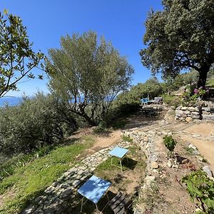 فندق Casa Musicale Pigna Exterior photo