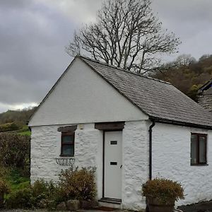 فيلا Gwytherinفي Y Llew Bach, The Tiny House Exterior photo