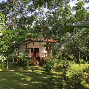 Baansuan Suksangob Farm Stay ترانغ Exterior photo