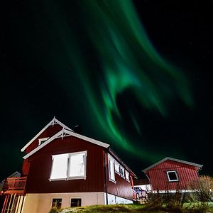 فيلا Cozy House On Sommarøy Exterior photo