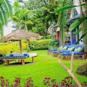 جيسايني Palm Garden Resort Exterior photo