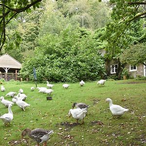 Keepers Cottage كروبورو Exterior photo