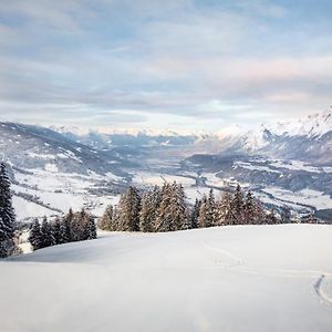 فندق فندق فريدن دي أيه أس البين بانوراما Hochpillberg Exterior photo