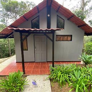 فيلا Koi'S House - Quebradillas De Dota Santa María Exterior photo