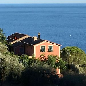 Seaside Villa Between Portofino And Cinque Terre زواليي Exterior photo