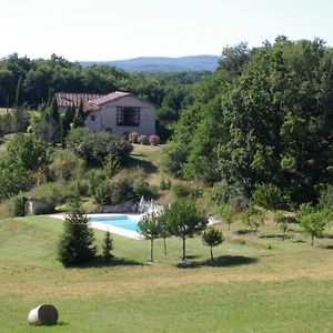 فيلا La Petite Toscane, Gite Familial Avec Piscine Et Jacuzzi Castelnau-de-Montmiral Exterior photo