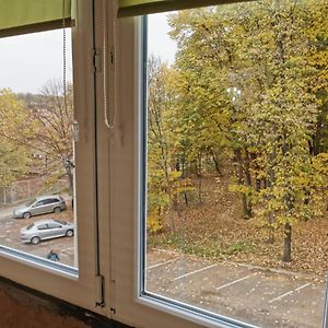بلغراد Apartman - Hani Exterior photo