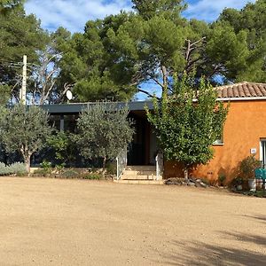 مبيت وإفطار Lacoste  Chambre D'Hotes - Petit Paradyzen - Lac Du Salagou Exterior photo