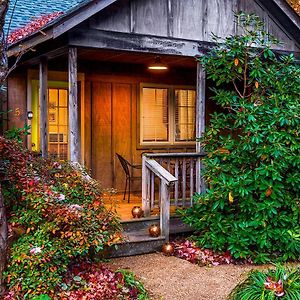 فيلا Love Ridge Mountain Lodging Lyndhurst Exterior photo