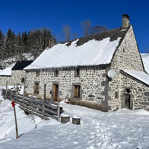 فيلا Maison De Campagne Spacieuse A Chastreix Avec Cheminee Exterior photo