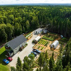 Cormack Upper Humber Settlement A Farmstay B&B Exterior photo