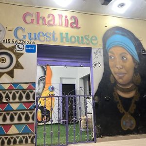 Ghalia Guest House أسوان Exterior photo