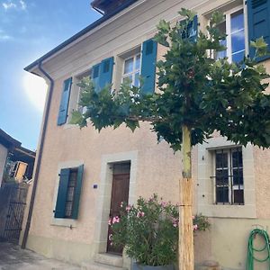 فيلا Charming Vinyard House - Lake Geneva Mont-sur-Rolle Exterior photo