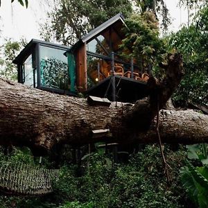 فيلا Wilderness Treehouse دوي ساكيت Exterior photo