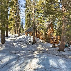 فيلا Bear Valley Cabin - Ski To Cross Country Trails! Tamarack Exterior photo