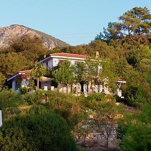 Kumluca The Lazy Olive Private Villa And Natural Pool Near Antique Olympos Exterior photo