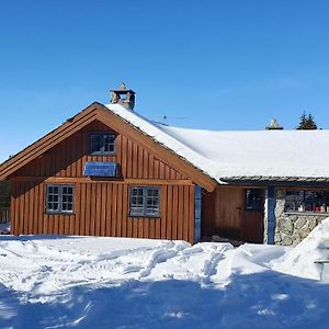 فيلا غولفي Cozy Log Cabin At Beautiful Nystolsfjellet Exterior photo