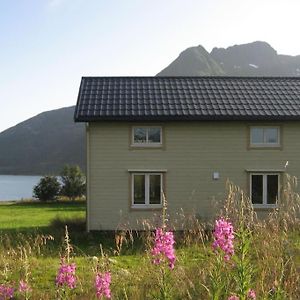 Laupstad Charming House By The Sea, Lofoten! Exterior photo