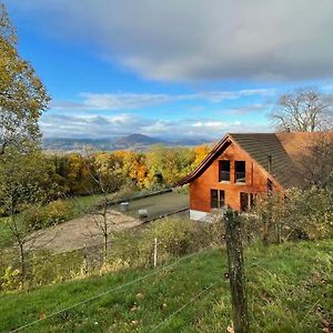 شقة Wunderschoenes Gaestehaus Mit Grandioser Aussicht Gempen Exterior photo