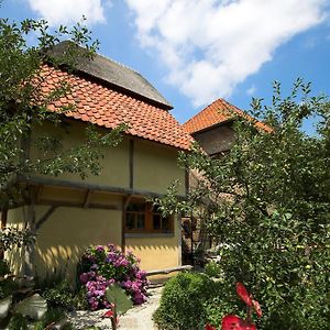 مول B&B Tspijker Exterior photo