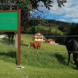 فيلا Urlaub Am Bauernhof Familie Kitting Vorau Exterior photo