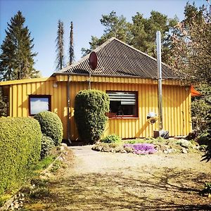 فيلا Gelbes Haus Bei Mardorf Am Steinhuder Meer Rehburg-Loccum Exterior photo