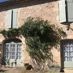 فيلا Domaine De La Durantie Duplex Vieux Chateau Castelnau-de-Montmiral Exterior photo