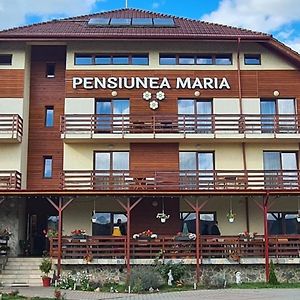 فندق Pensiunea Maria Gilău Exterior photo